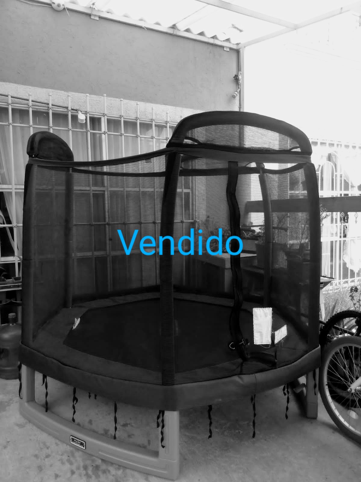 Product Image ../../productsimages/IMG-20210603-WA00112.jpg